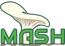 MASH Logo