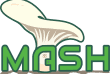 MASH Logo